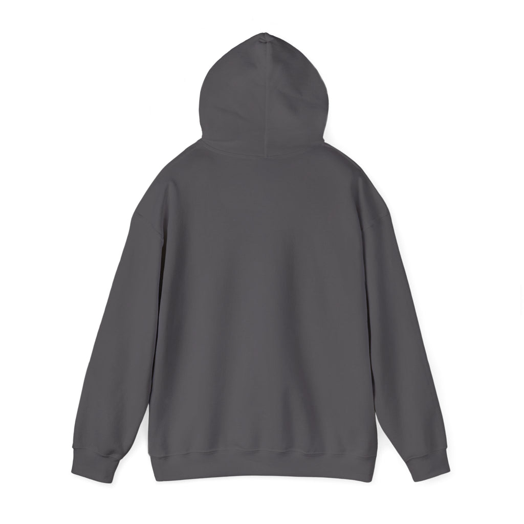 LIMITED EDITION UNISEX HEAVY BLEND™ HOODED SWEATSHIRT
