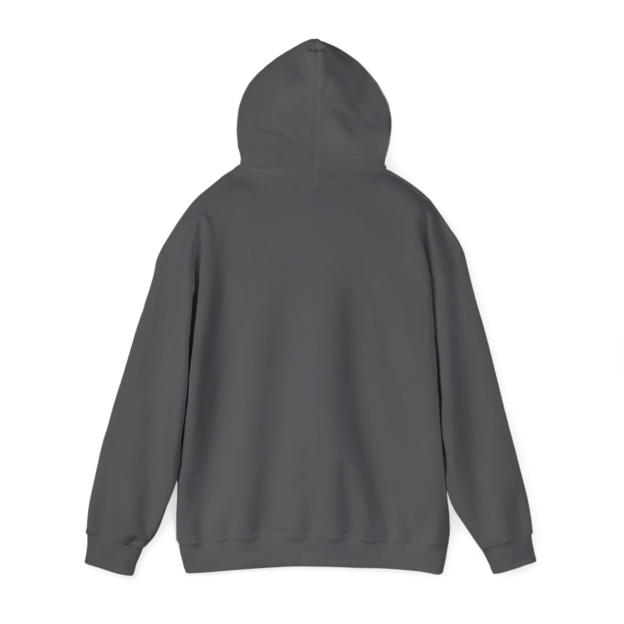 LIMITED EDITION UNISEX HEAVY BLEND™ HOODED SWEATSHIRT