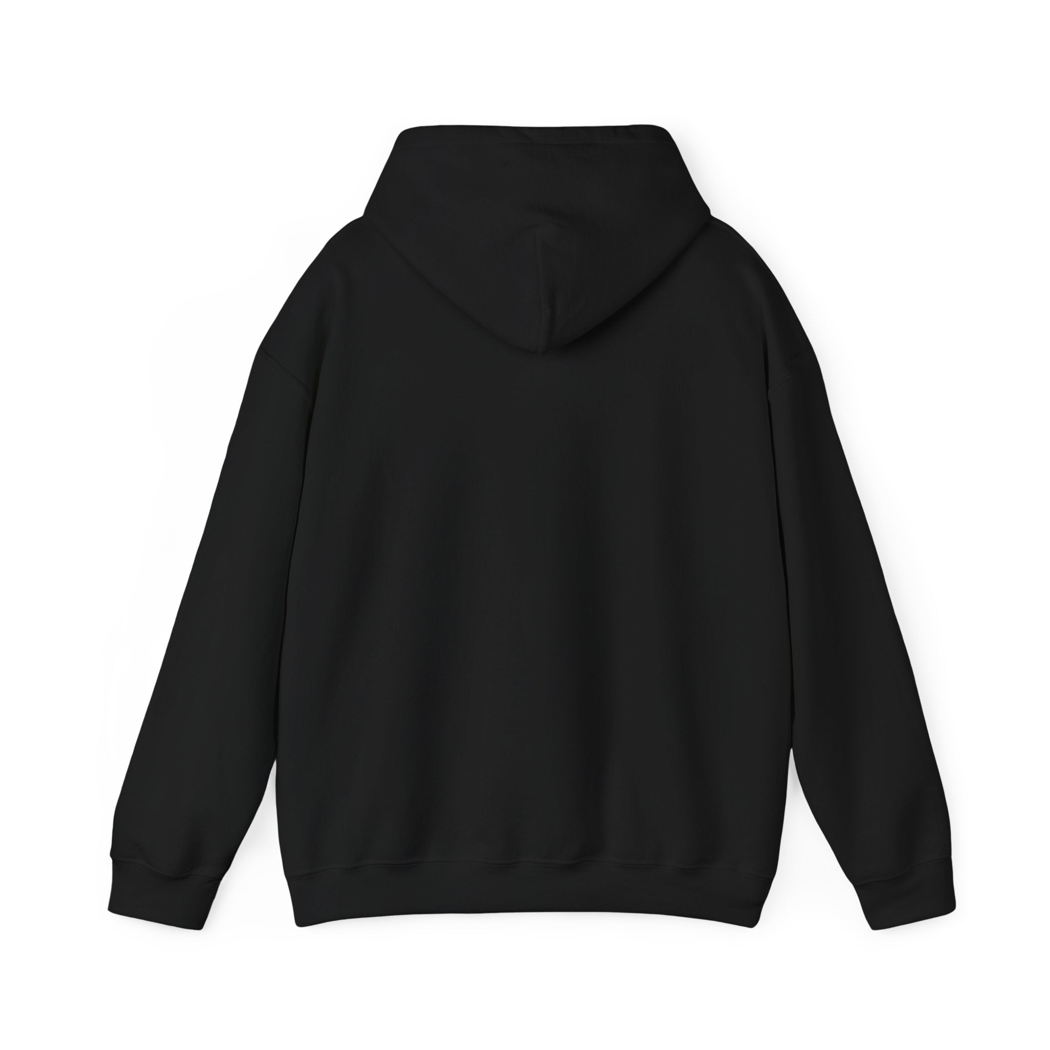 LIMITED EDITION UNISEX HEAVY BLEND™ HOODED SWEATSHIRT