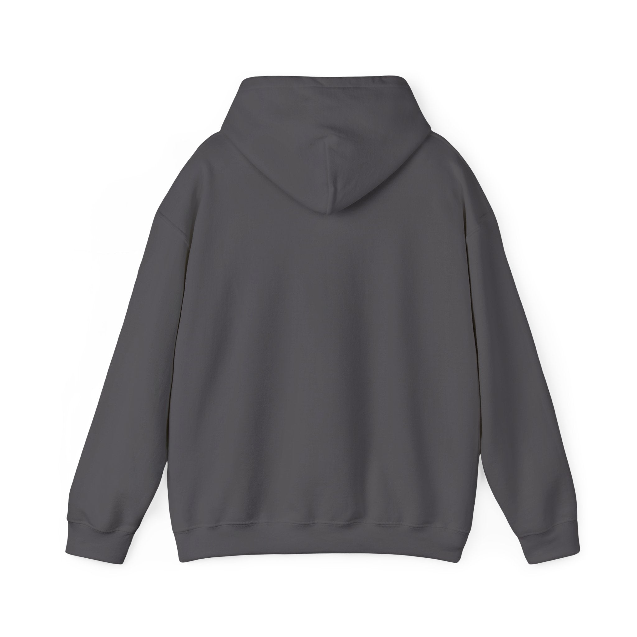 LIMITED EDITION UNISEX HEAVY BLEND™ HOODED SWEATSHIRT
