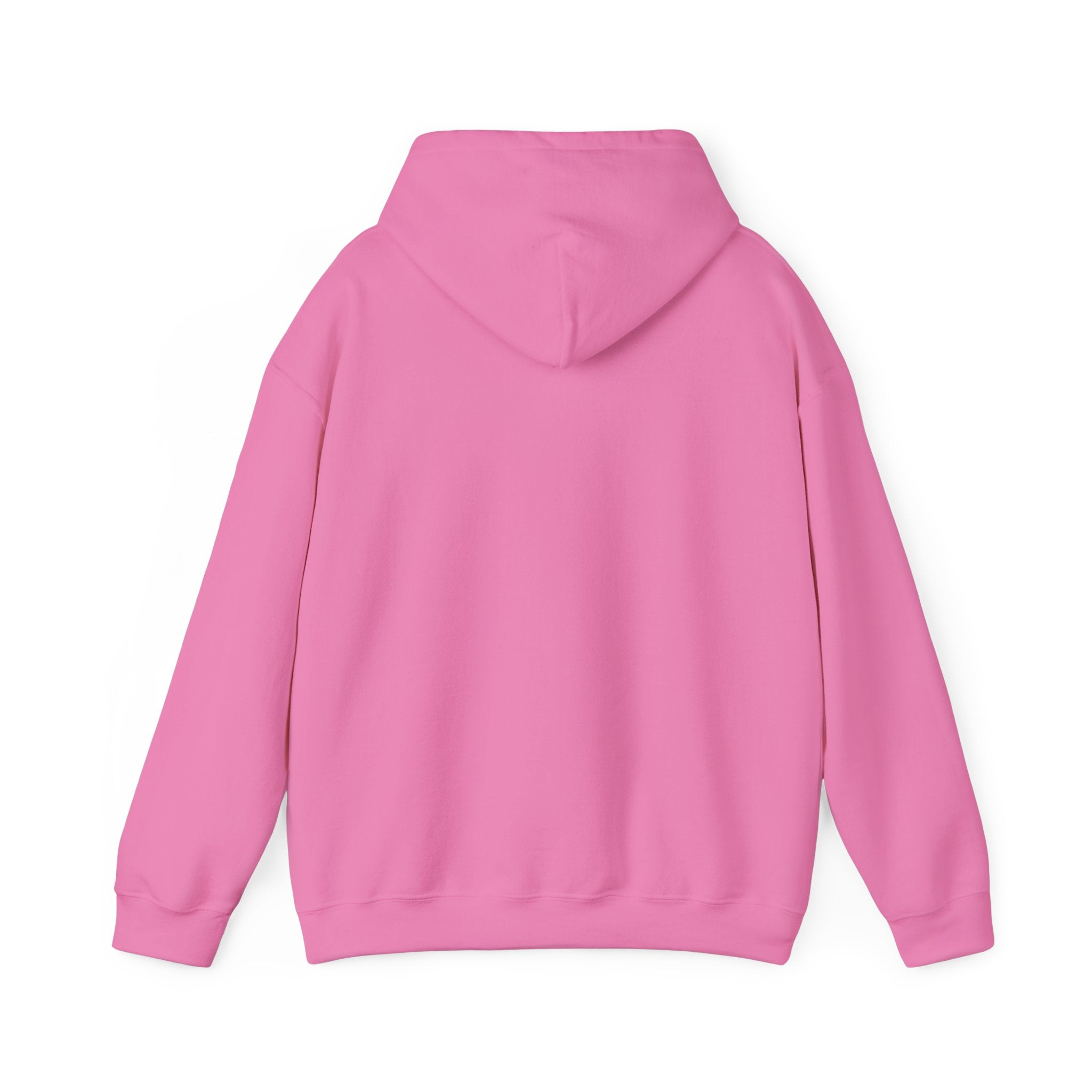 LIMITED EDITION UNISEX HEAVY BLEND™ HOODED SWEATSHIRT