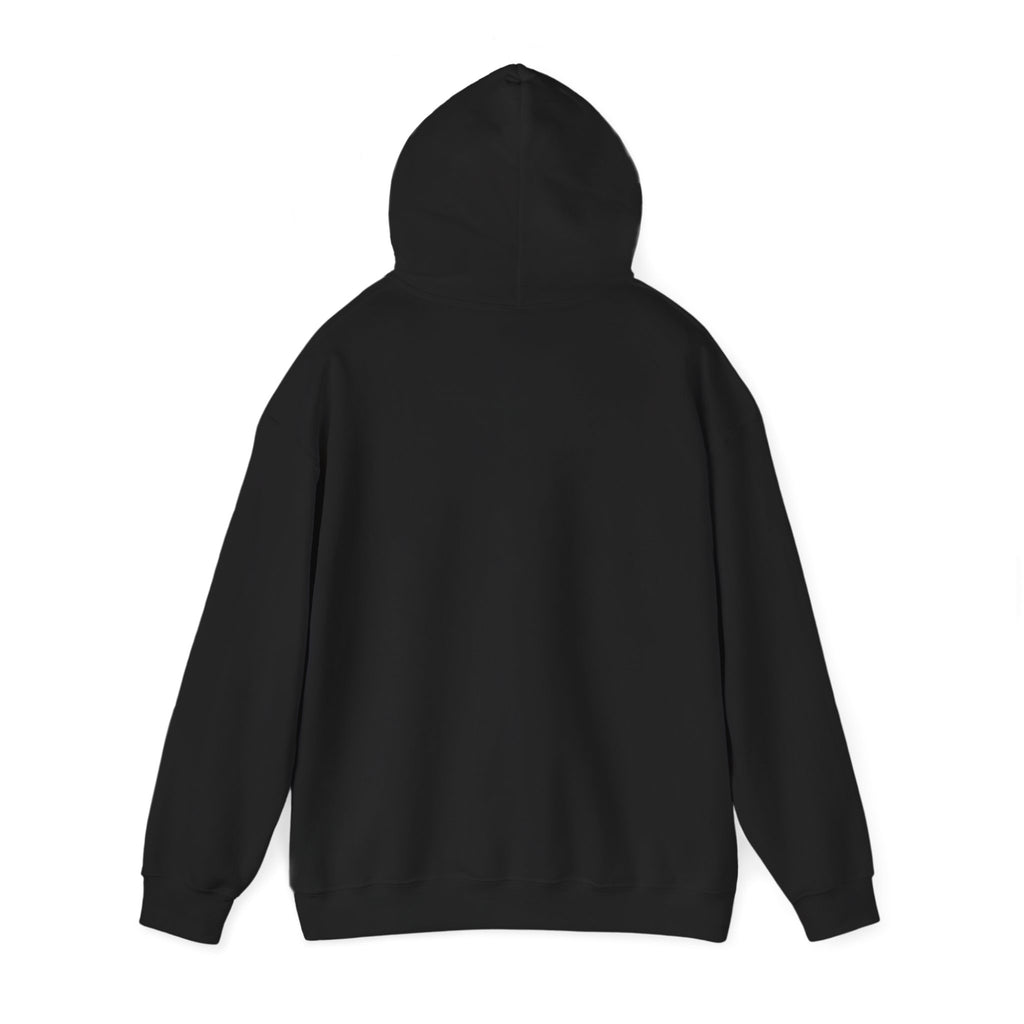 LIMITED EDITION UNISEX HEAVY BLEND™ HOODED SWEATSHIRT