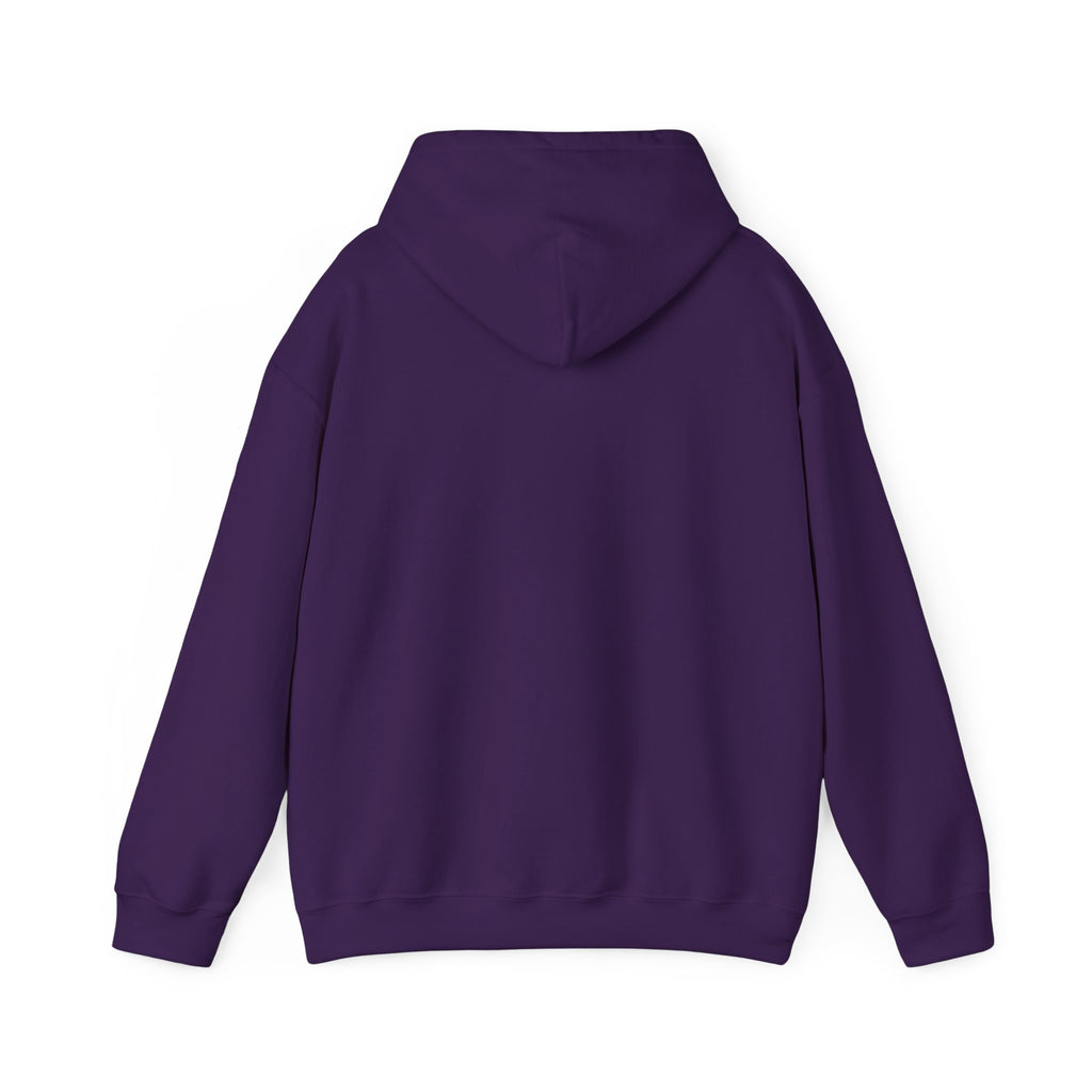 LIMITED EDITION UNISEX HEAVY BLEND™ HOODED SWEATSHIRT