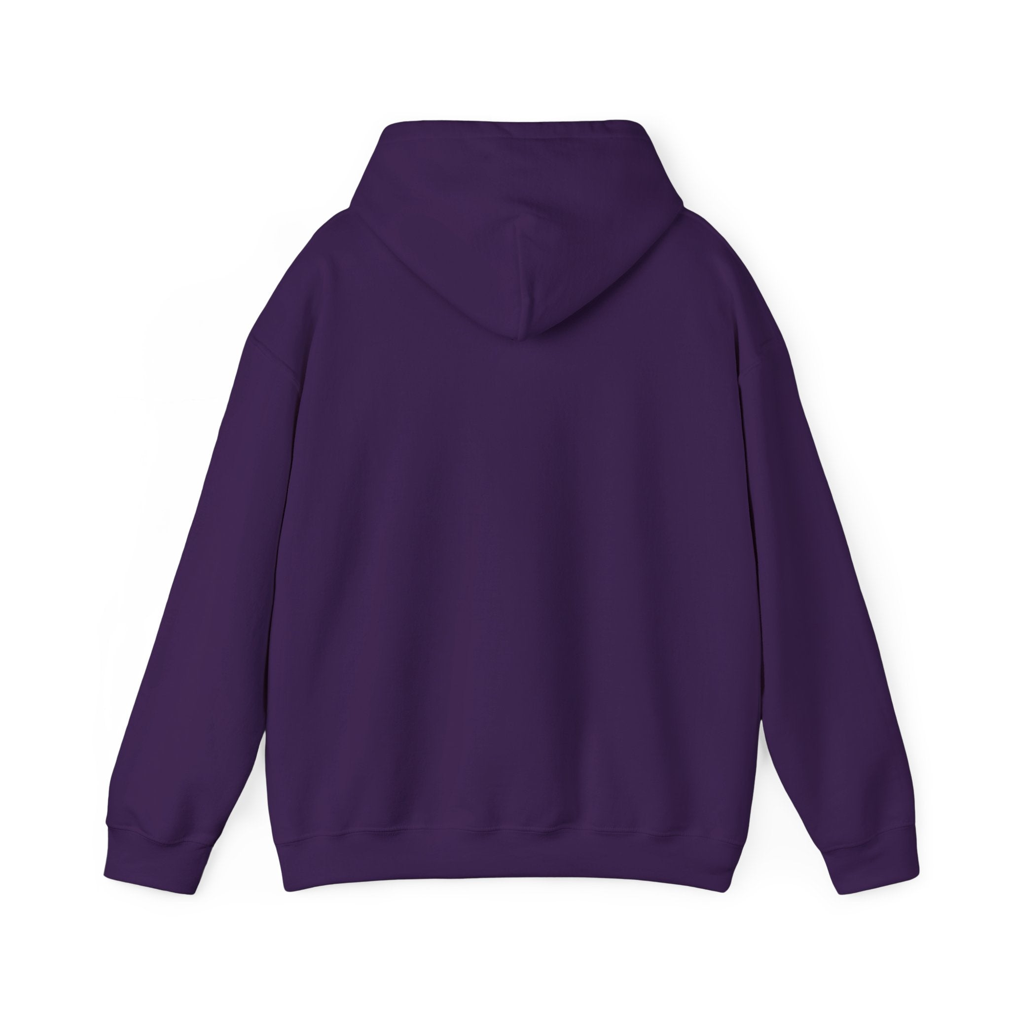 LIMITED EDITION UNISEX HEAVY BLEND™ HOODED SWEATSHIRT