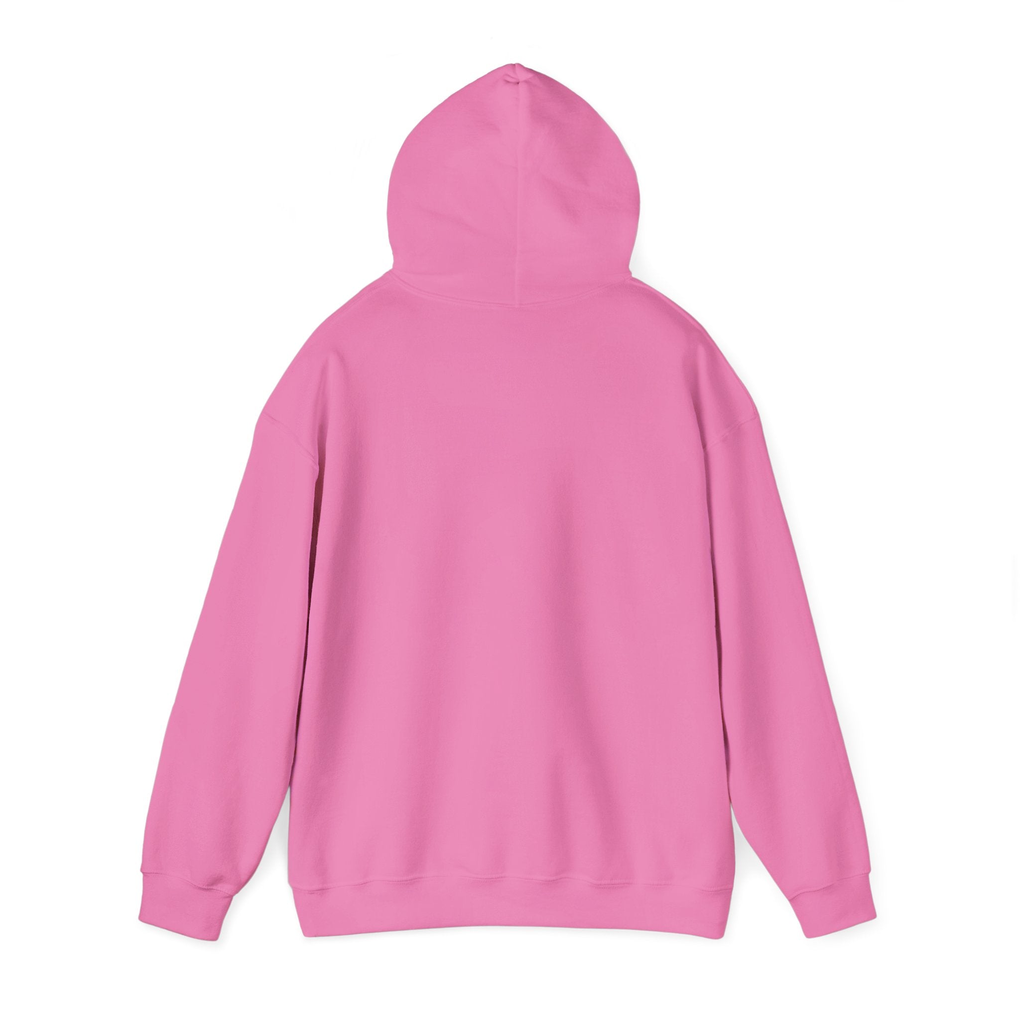 LIMITED EDITION UNISEX HEAVY BLEND™ HOODED SWEATSHIRT