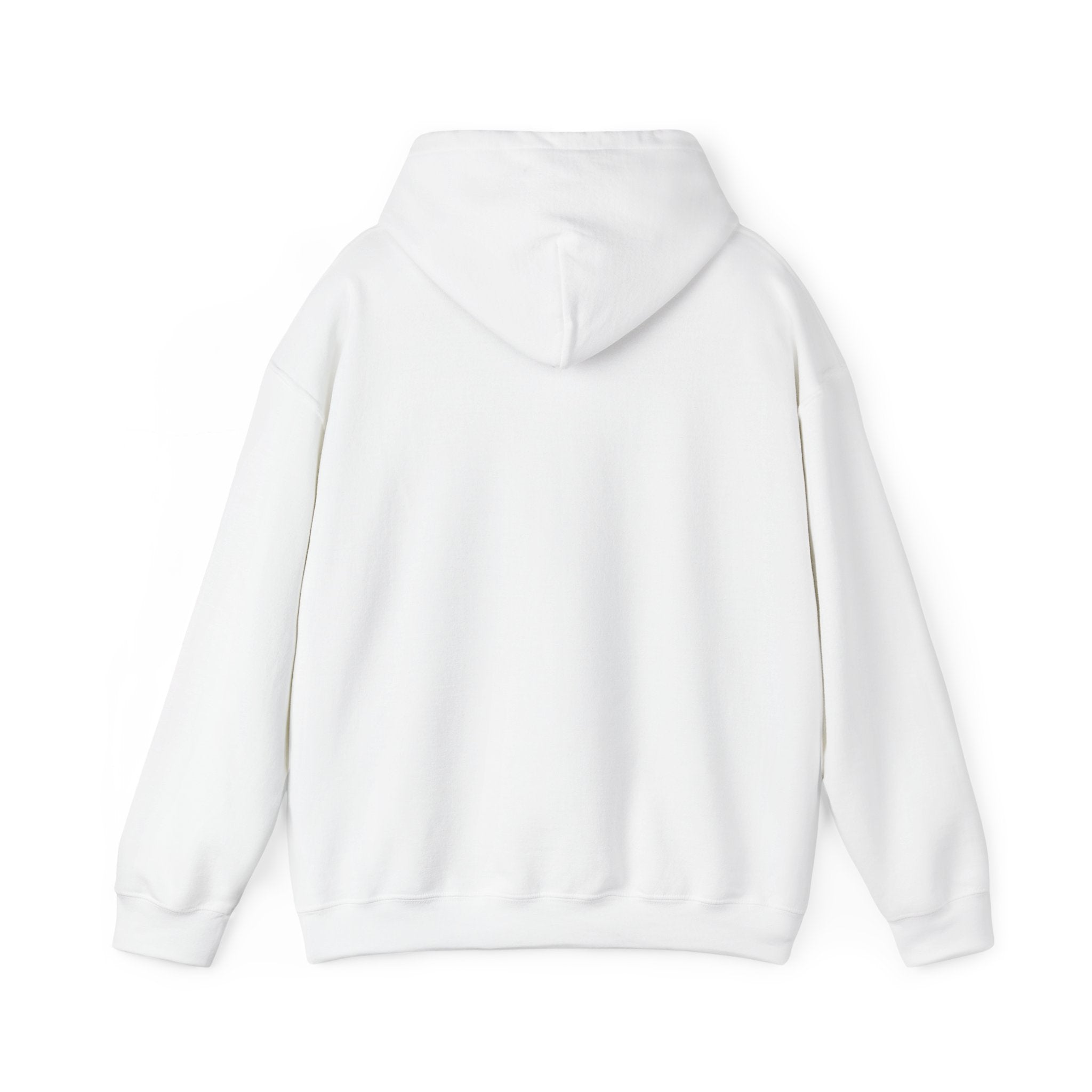 LIMITED EDITION UNISEX HEAVY BLEND™ HOODED SWEATSHIRT