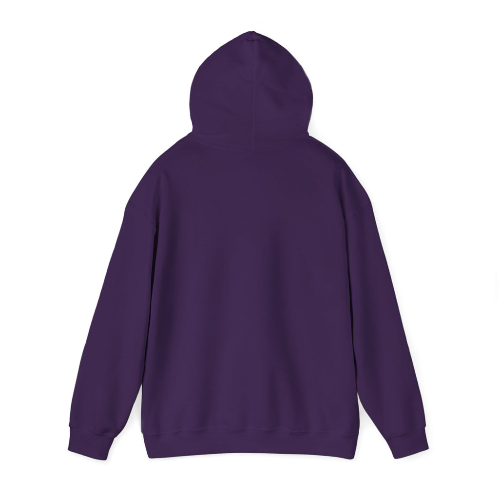 LIMITED EDITION UNISEX HEAVY BLEND™ HOODED SWEATSHIRT