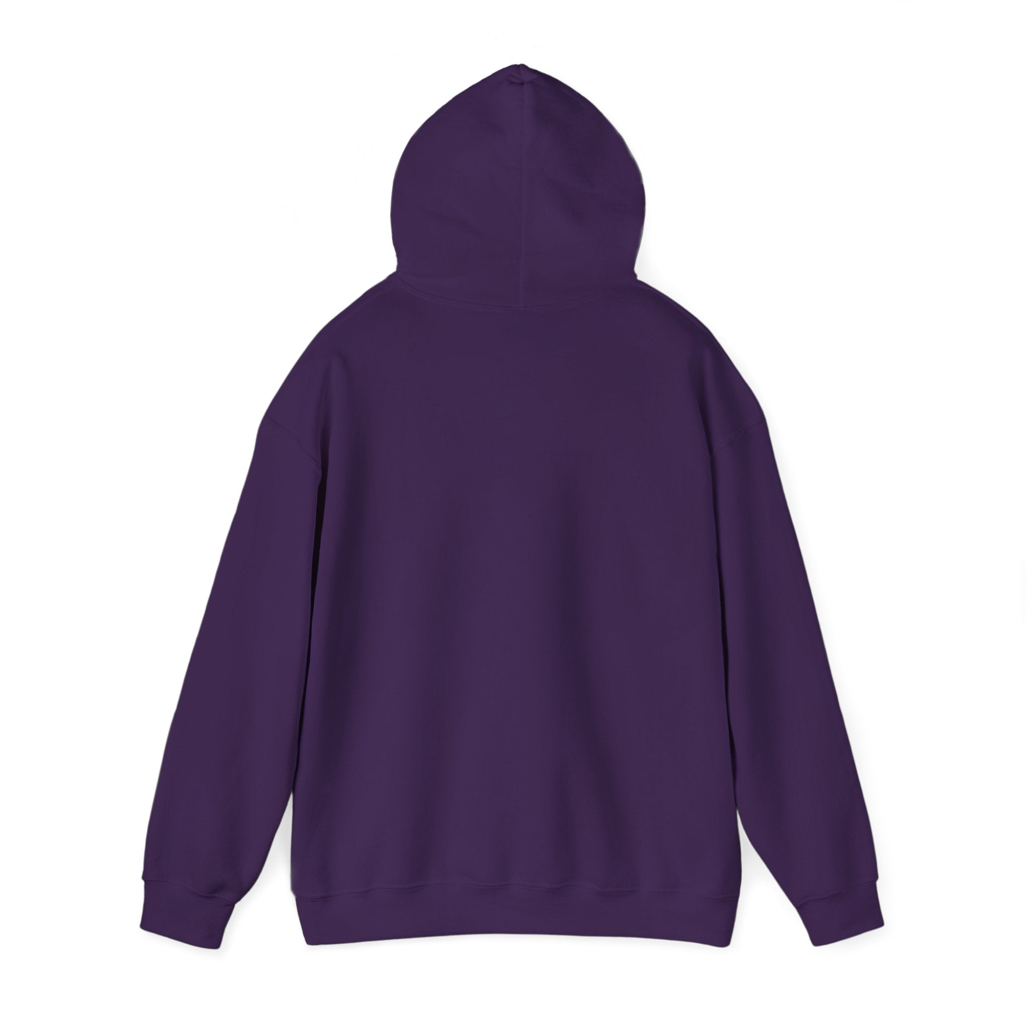 LIMITED EDITION UNISEX HEAVY BLEND™ HOODED SWEATSHIRT